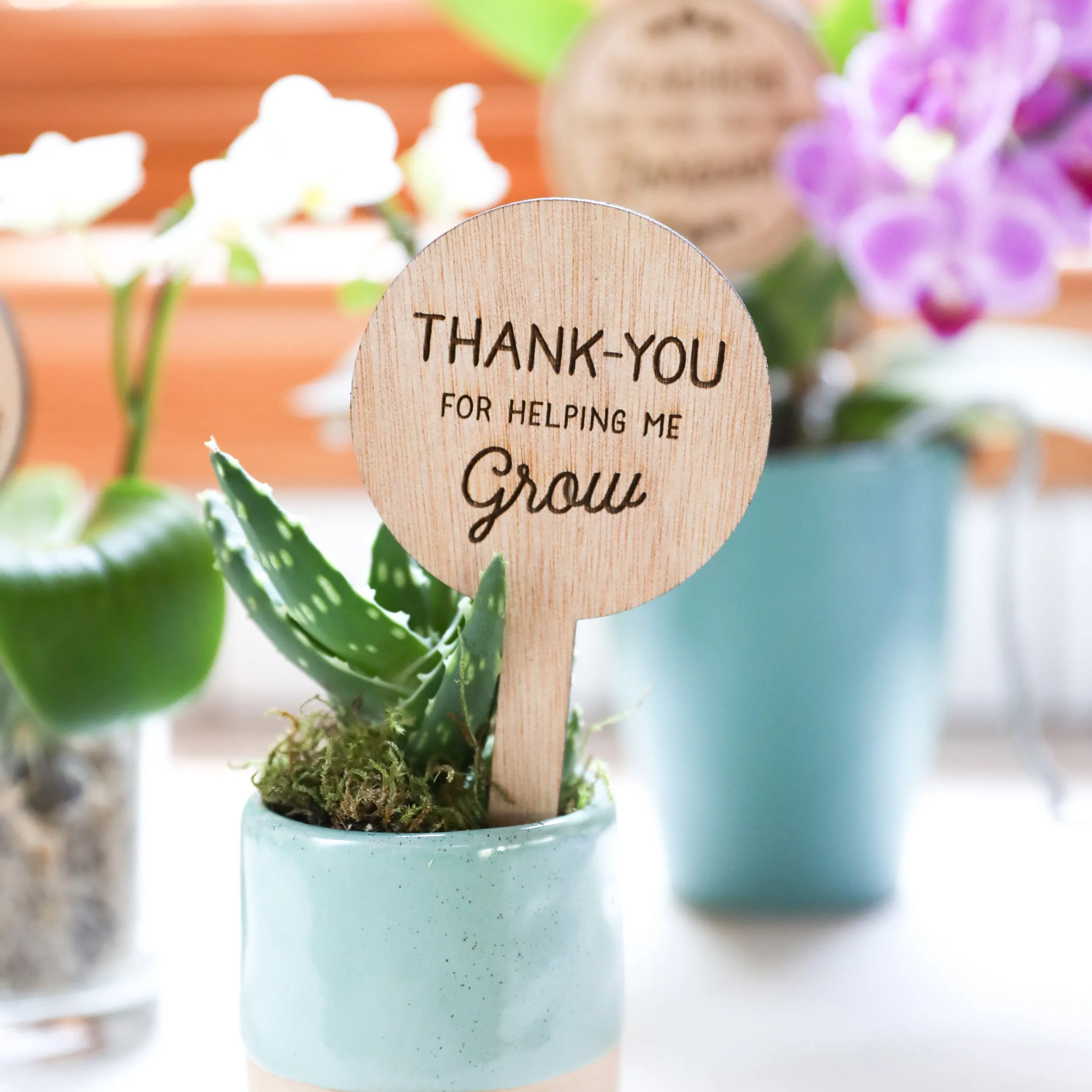 Plant Signs For Teacher Gifts | Laser Cutting Files