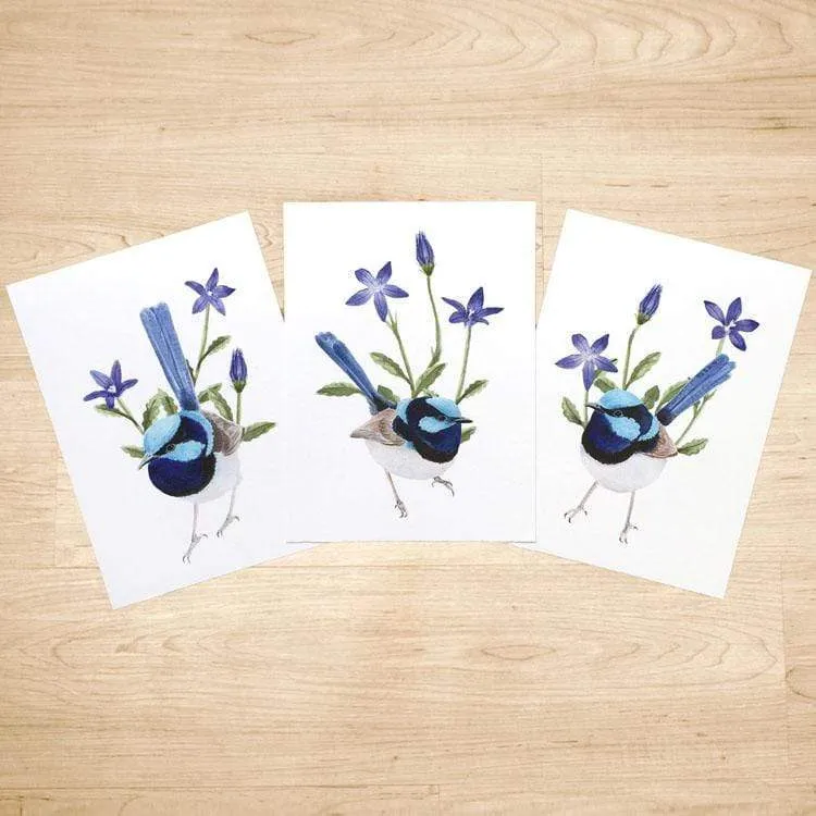 Superb Wren Art Prints set of 3