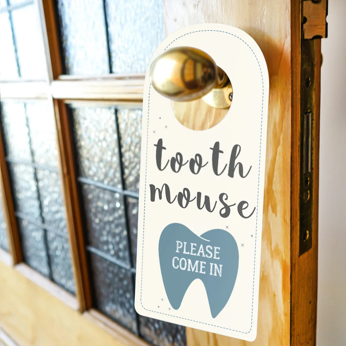 Tooth Mouse Full Set Boys | Official Certificate, Customer Receipt, Door Hangar, Visitor Poster, Letter, Tooth Report, Lost tooth chart